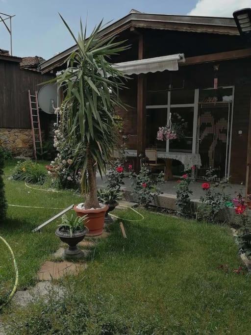 Lucky 2 Pavel Banya Exterior foto